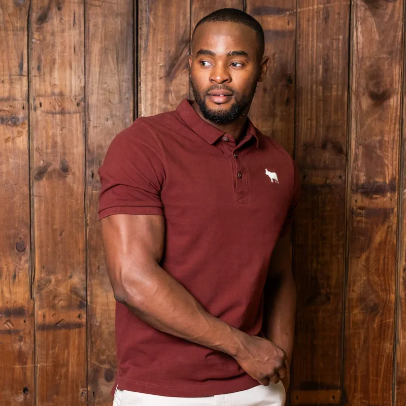 Kingsley Luxe Regular Fit PK Polo Port