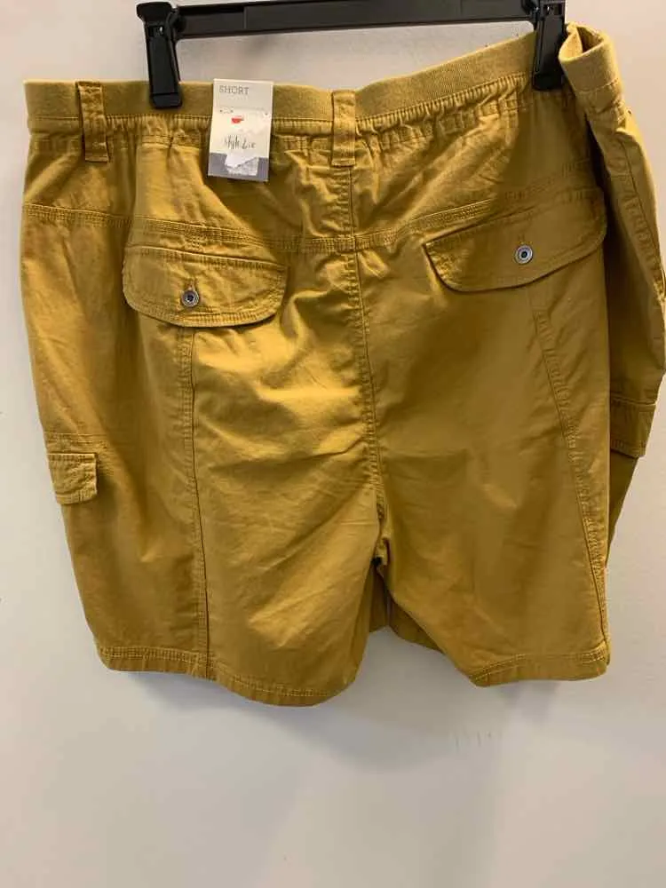 NWT Size 24 STYLE & CO PLUS SIZES BURNT AMBER CARGO Shorts